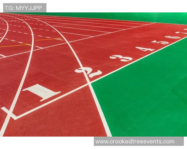 塑胶跑道的优缺点分析及其在学校运动场地建设中的应用探讨