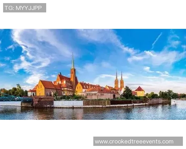 纽卡斯尔城市风貌探秘:历史文化、现代发展与未来愿景的完美交织